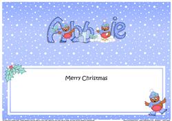 Large Dl Xmas Abbie Robins Matching Insert