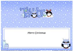 Large Dl Xmas Taylor Pip Penguin Matching Insert