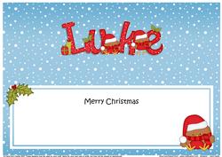 Large Dl Xmas Luke Bobbin Robins Matching Insert