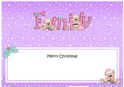 Large Dl Xmas Emily Livvy Bear Matching Insert