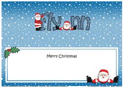 Large Dl Christmas Flynn Santa Insert