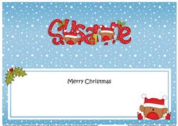 Large Dl Xmas Susanne Robins Matching Insert