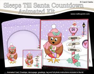 3D Xmas Cute Little Robin Sleeps Till Santa Animated Card