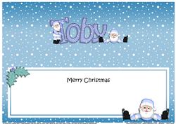Large Dl Xmas Toby Santa Matching Insert