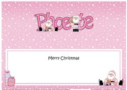 Large Dl Xmas Phoebe Santa Matching Insert