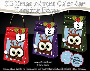 3D Little Hoot Owl Xmas Hanging Advent Calendar Box Kit