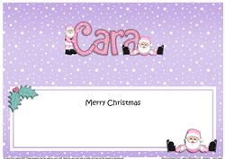 Large Dl Xmas Cara Santa Matching Insert