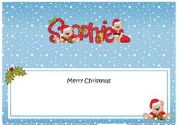 Large Dl Xmas Sophie Livvy Bear Matching Insert