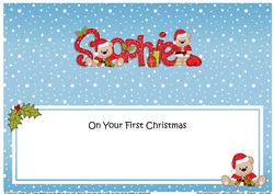 Large Dl 1st Xmas Sophie Livvy Bear Matching Insert