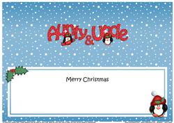 Large Dl Xmas Aunty & Uncle Penguins Insert