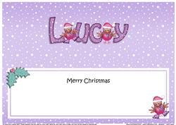Large Dl Xmas Lucy Robins Matching Insert