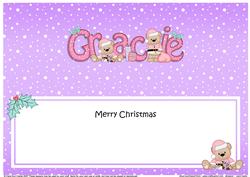 Large Dl Xmas Gracie Livvy Bear Matching Insert