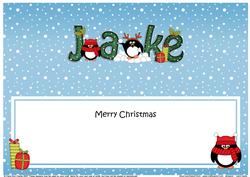 Large Dl Xmas Jake Pip Penguin Matching Insert