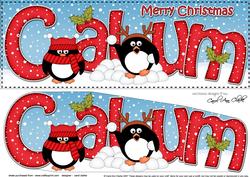 Large Dl Xmas Calum Pip Penguin 3D Decoupage