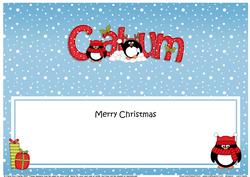 Large Dl Xmas Calum Pip Penguin Matching Insert