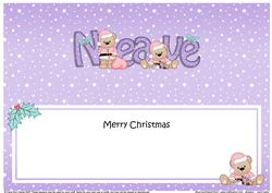 Large Dl Xmas Neave Livvy Bear Matching Insert