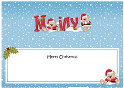Large Dl Xmas Milly Livvy Bear Matching Insert