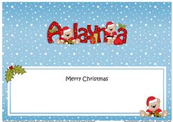 Large Dl Xmas Alayna Livvy Bear Matching Insert