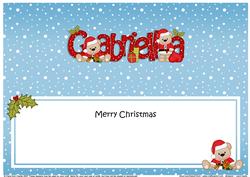 Large Dl Xmas Gabriella Livvy Bear Insert