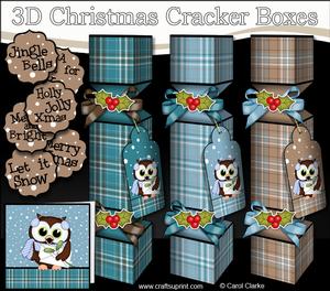 3D Little Hoot Owl Tartan Christmas Cracker Boxes