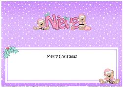 Large Dl Xmas Nieve Livvy Bear Insert
