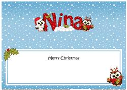 Large Dl Xmas Nina Little Hoot Owls Insert