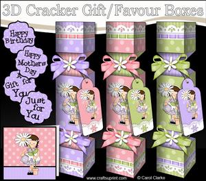 3D Girlz Suzi's Flower Cracker Gift Favour Boxes