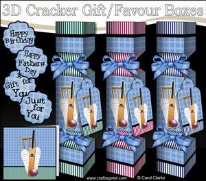 3D Sport Cricket Cracker Gift Favour Boxes