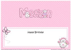Large Dl Birthday Megan Teddies Insert
