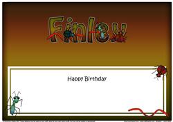 Large Dl Birthday Finley Bugs Matching Insert