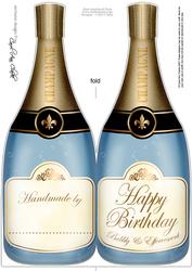 Large Dl Birthday Champagne Bottle Shaped Card
