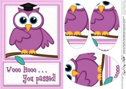 A5 Wise Owl You Passed Felties Oval Pyramage Topper