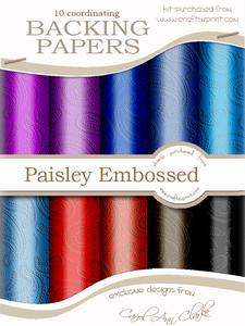 'paisley Embossed' Backing Paper Kit