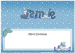 Large Dl Christmas Jamie Snowmen Insert