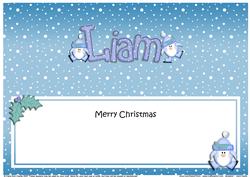 Large Dl Christmas Liam Penguins Insert