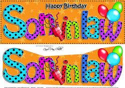Large Dl Birthday Son in Law Celebrations 3D Decoupage