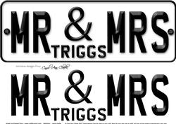 Large Dl Mr & Mrs Triggs Novelty Number Plate 3D Decoupage