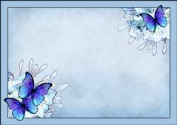 A4 Butterflies & Flowers Insert