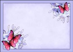 A4 Butterflies & Flowers Insert