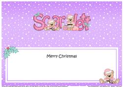 Large Dl Christmas Scarlett Livvy Bear Insert