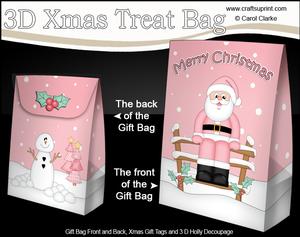 3D Christmas Santa Gift Bag Mini Kit