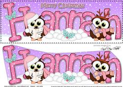 Large Dl Christmas Hannah Hoot Owls 3D Decoupage
