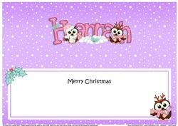Large Dl Christmas Hannah Hoot Owls Insert