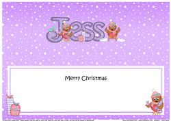 Large Dl Christmas Jess Robins Insert