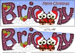 Large Dl Christmas Briony Owls 3D Decoupage