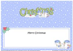 Large Dl Christmas Snowball Sam Insert