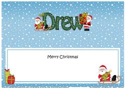 Large Dl Christmas Drew Santa Insert