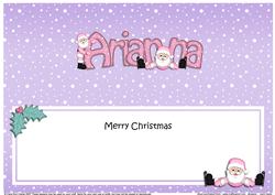 Large Dl Christmas Arianna Santa Insert