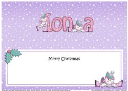 Large Dl Christmas Iona Snowman Insert