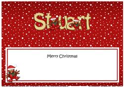 Large Dl Christmas Stuart Robins Insert